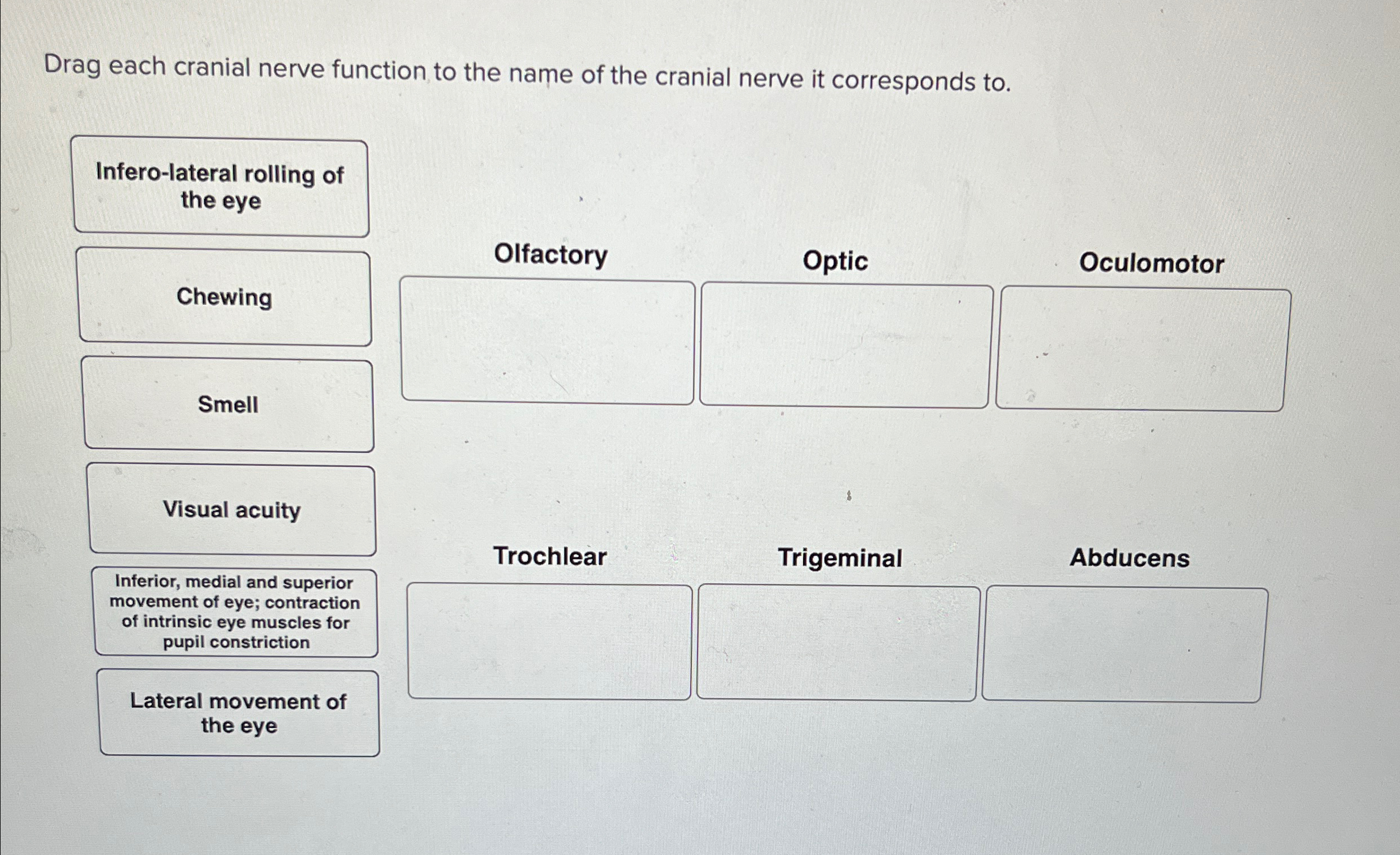 Drag each cranial nerve function to the name of the | Chegg.com