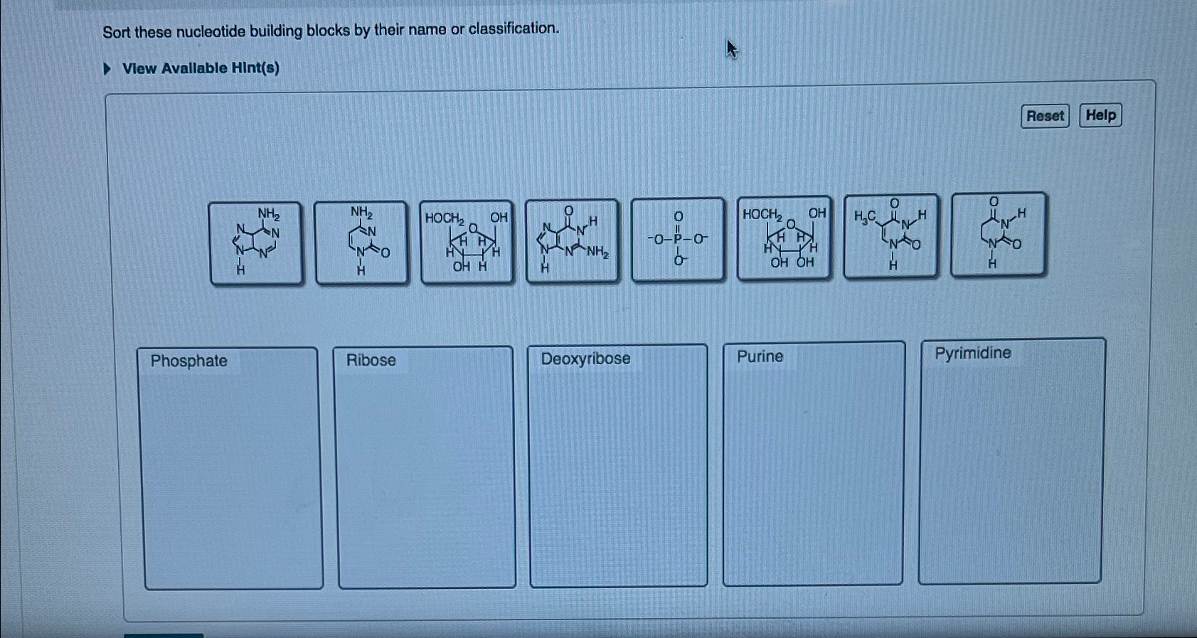 Solved Sort these nucleotide building blocks by their name