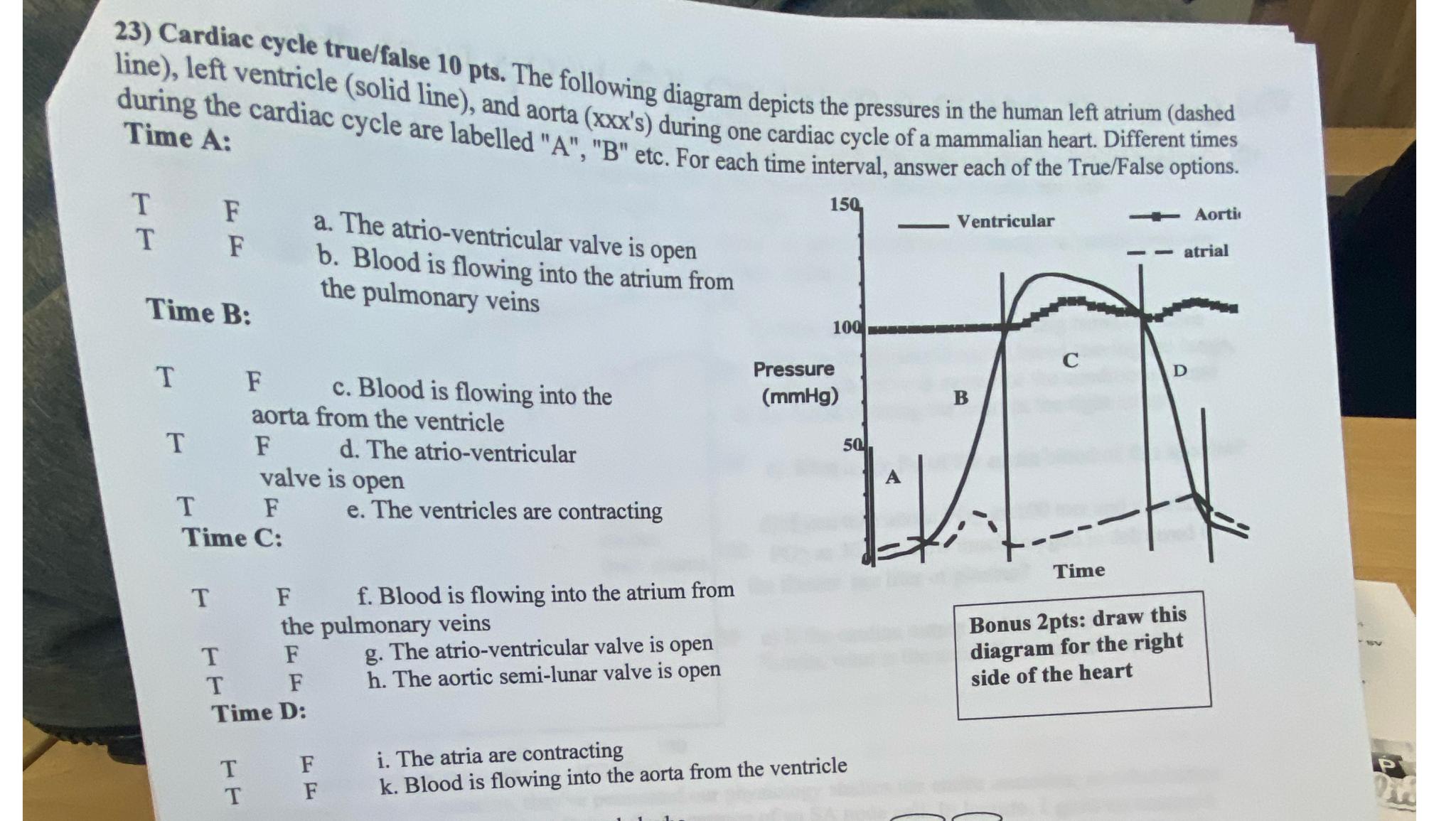 Solved Cardiac cycle true/false 10 ﻿pts. ﻿The following | Chegg.com