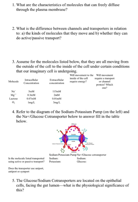 Solved 1. What are the characteristics of molecules that can | Chegg.com