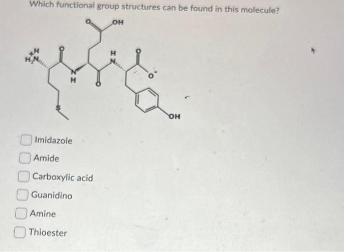 Solved Which functional group structures can be found in | Chegg.com