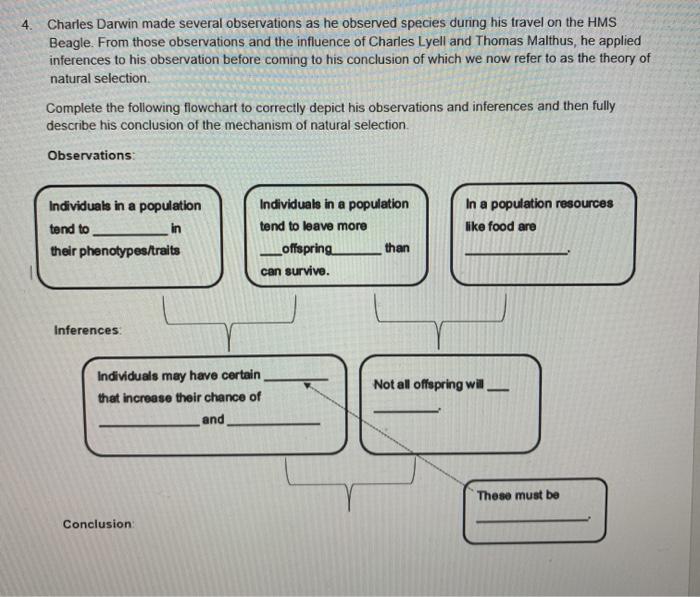 Solved 4. Charles Darwin made several observations as he | Chegg.com