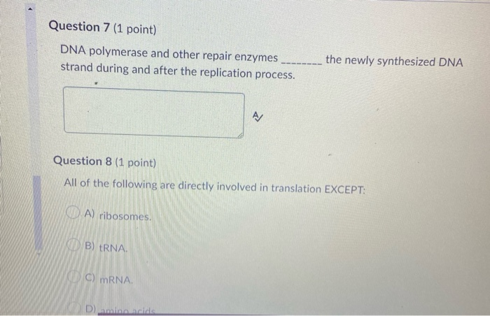 Which Of The Following Is Not Directly Involved In Translation Solved Question 7 (1 point) DNA polymerase and other repair | Chegg.com