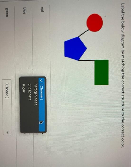 Solved Label the below diagram by matching the correct | Chegg.com