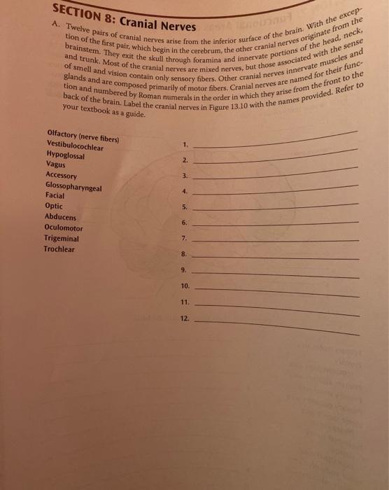 Solved A. Twelve pairs of cranial nerves arise from the | Chegg.com