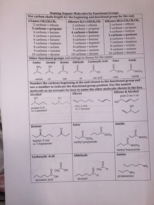 Solved Naming Organic Molecules by Functional Groups Use | Chegg.com