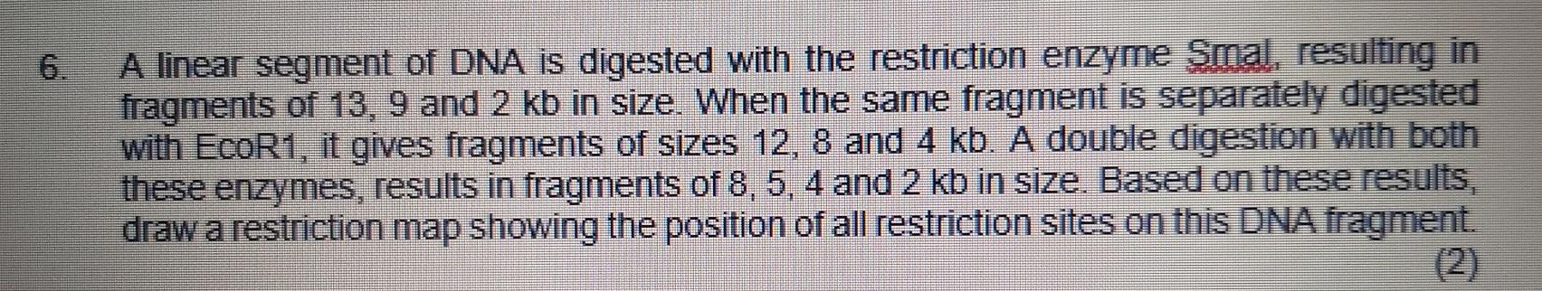 Solved A linear segment of DNA is digested with the | Chegg.com