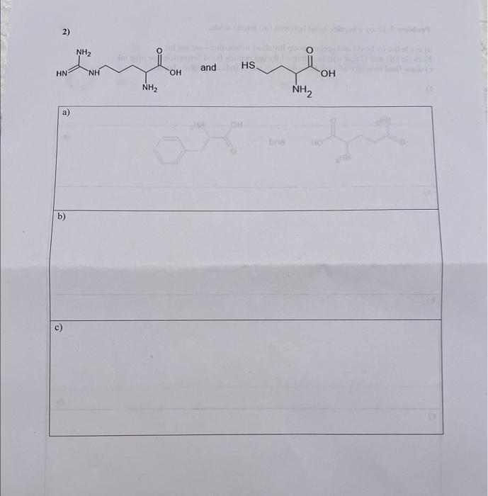 Solved 2) and a) b) c)Problem 2. Draw a peptide bond between | Chegg.com