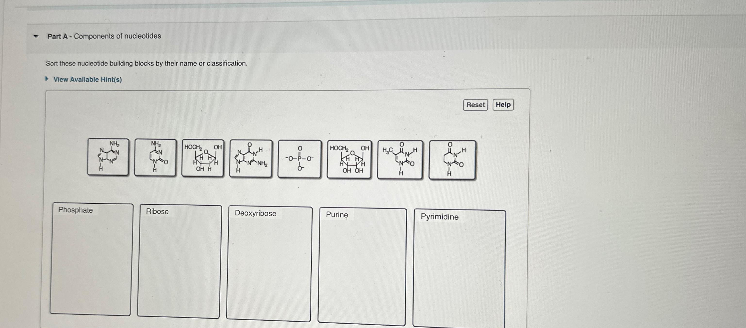 Solved Part A - ﻿Components of nucleotidesSort these | Chegg.com