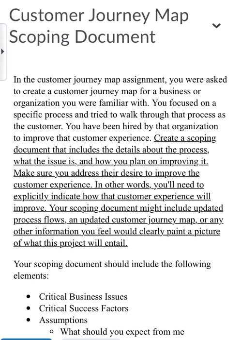 Solved Customer Journey Map Scoping Document In the customer | Chegg.com