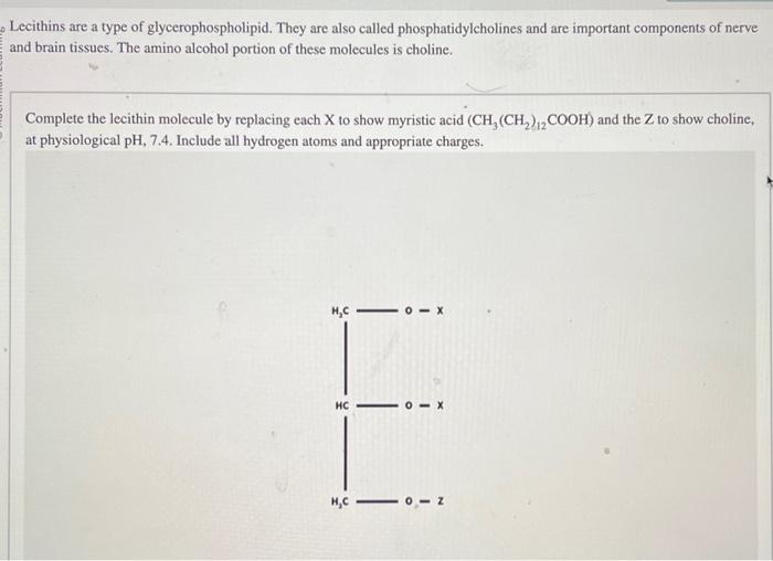 Lecithins are a type of glycerophospholipid. They are | Chegg.com