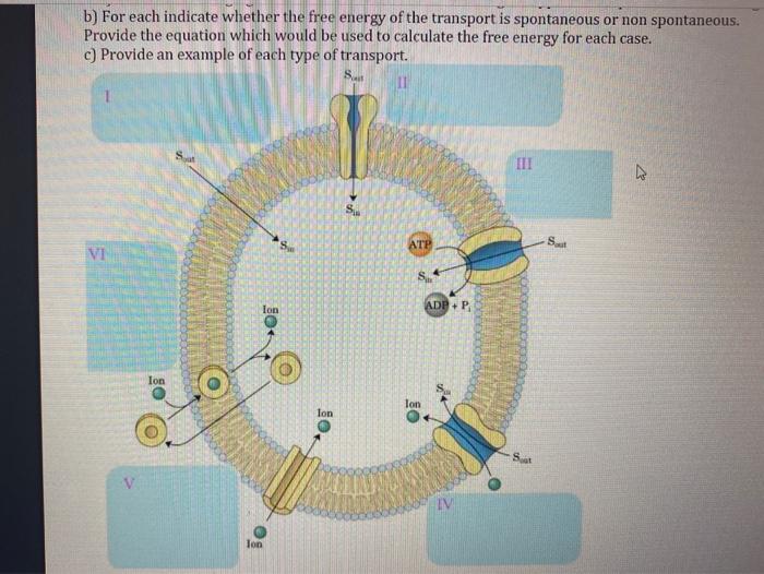 This Is A Biochemical Energetics Questions Plesse Chegg Com