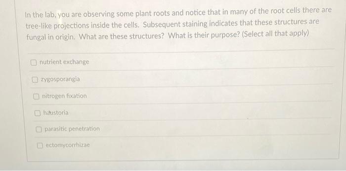 Solved In the lab, you are observing some plant roots and | Chegg.com