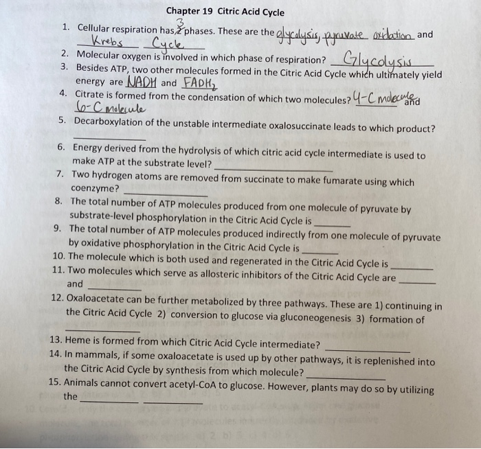 Solved Chapter 19 Citric Acid Cycle 1. Cellular respiration | Chegg.com