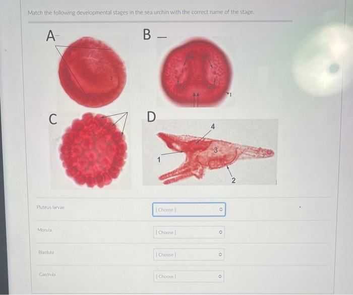 Solved A B - | Chegg.com