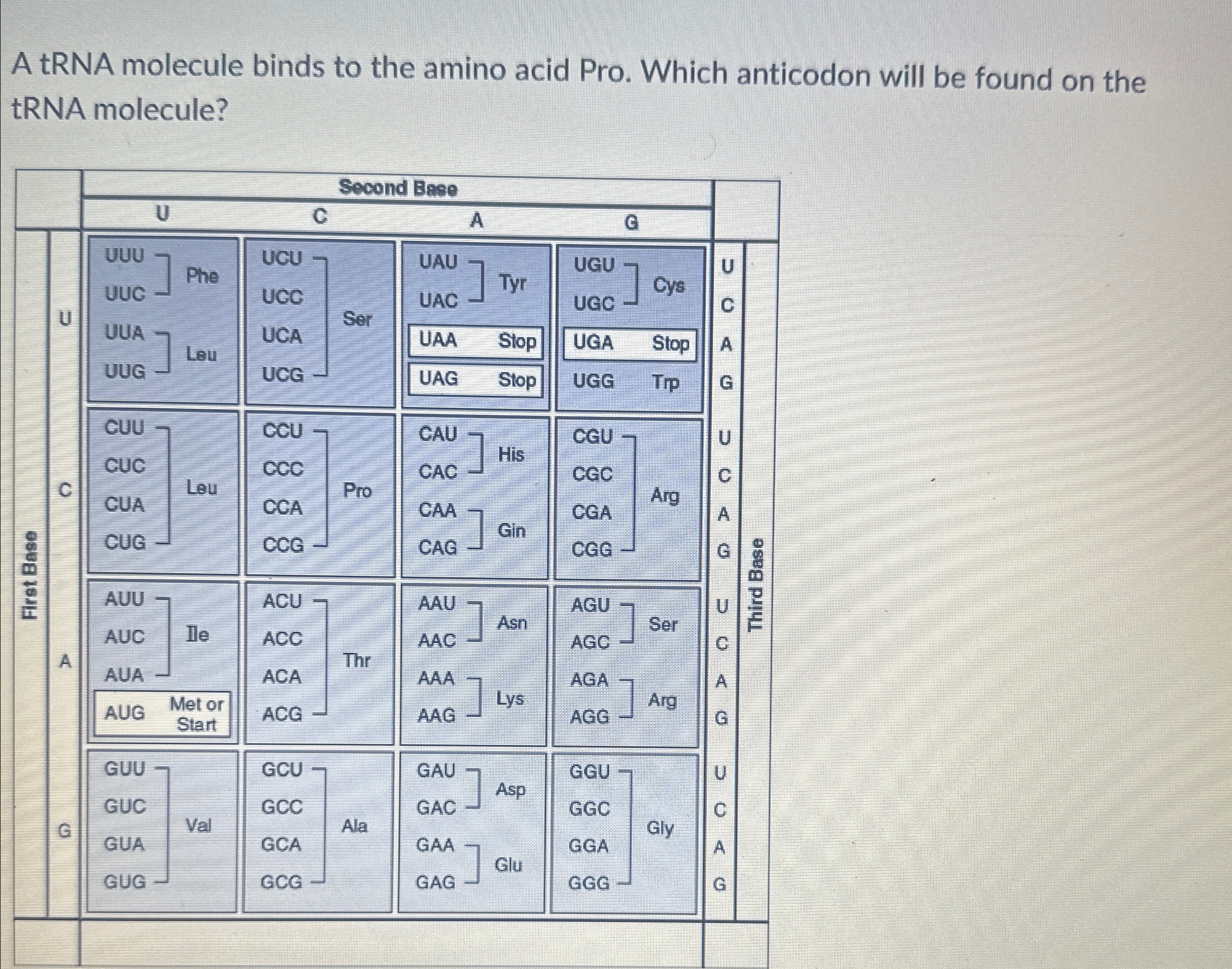 Solved A tRNA molecule binds to the amino acid Pro. Which | Chegg.com