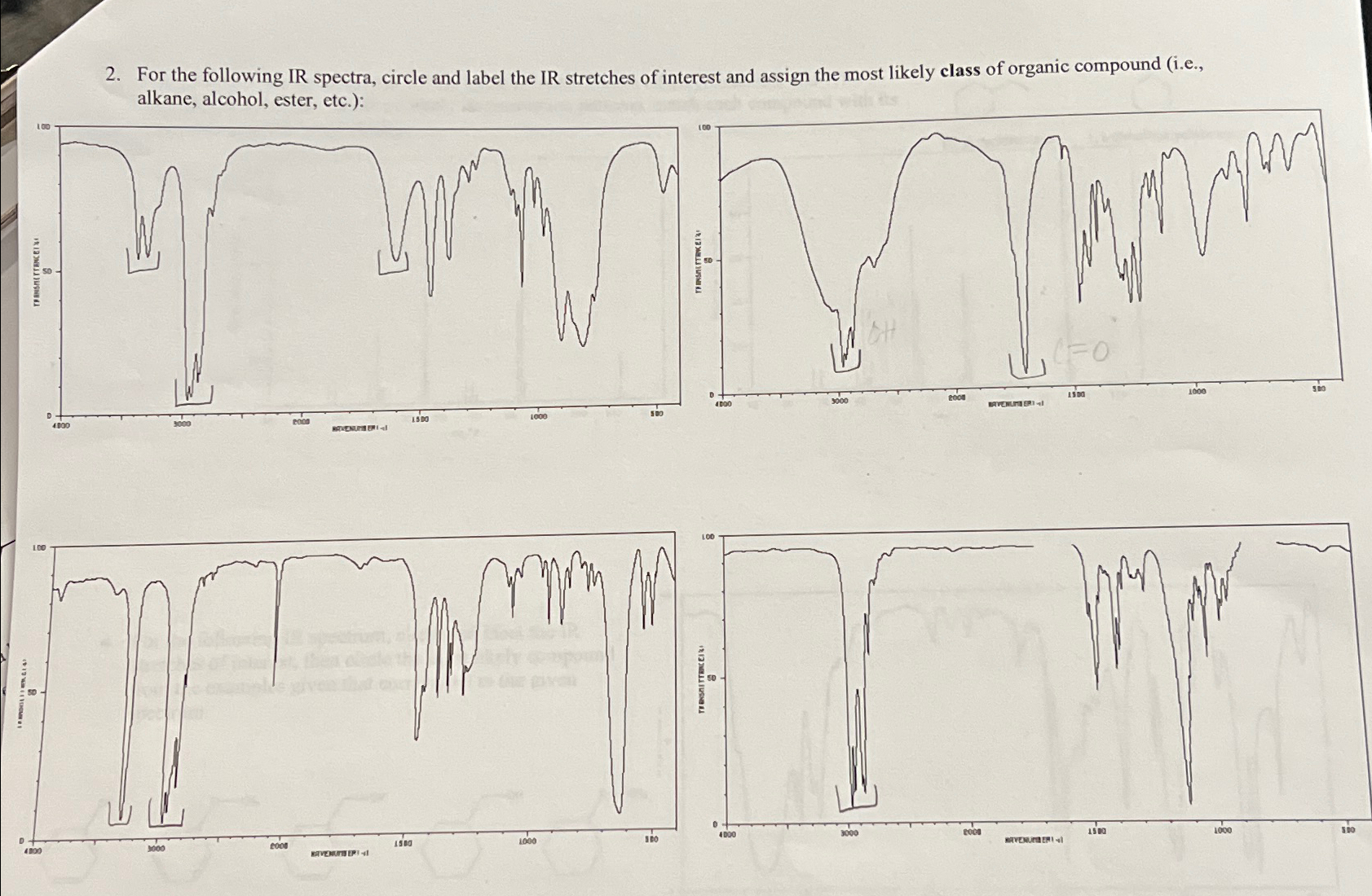 Solved For the following IR spectra, circle and label the IR