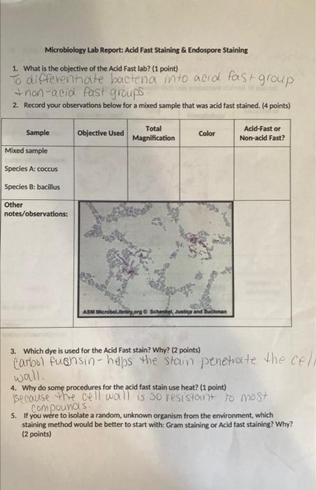 Microbiology Lab Report: Acid Fast Staining & Endospore Staining
1. What is the objective of the Acid Fast lab? (1 point)
To 