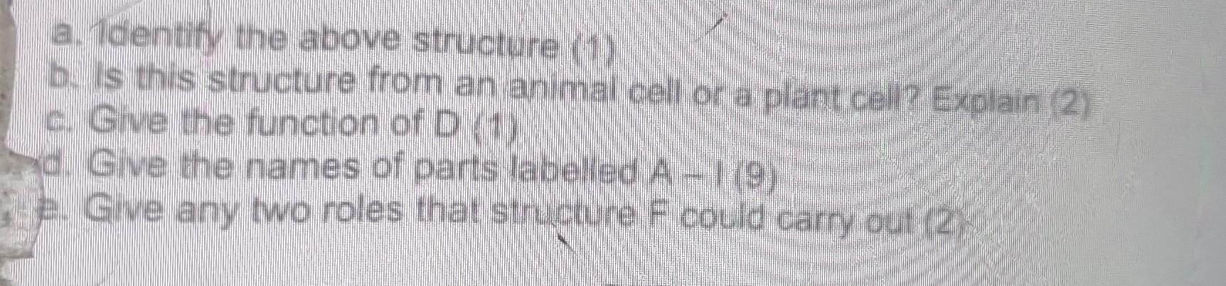 Solved a. Tdentify the above structure (1) b. Is this | Chegg.com