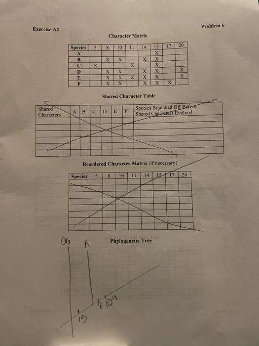 Solved Exercise A2 Problem 6 Character Matrix 5 8 20 10 11 | Chegg.com