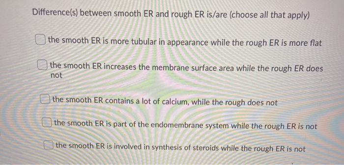 solved-difference-s-between-smooth-er-and-rough-er-is-are-chegg