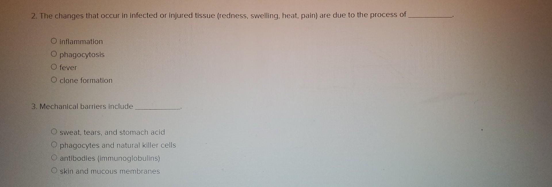 Solved Required information Read the overview and complete | Chegg.com