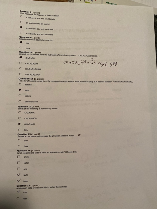 Solved HOMEWORK: Carboxylic Acids and Esters and Amines | Chegg.com