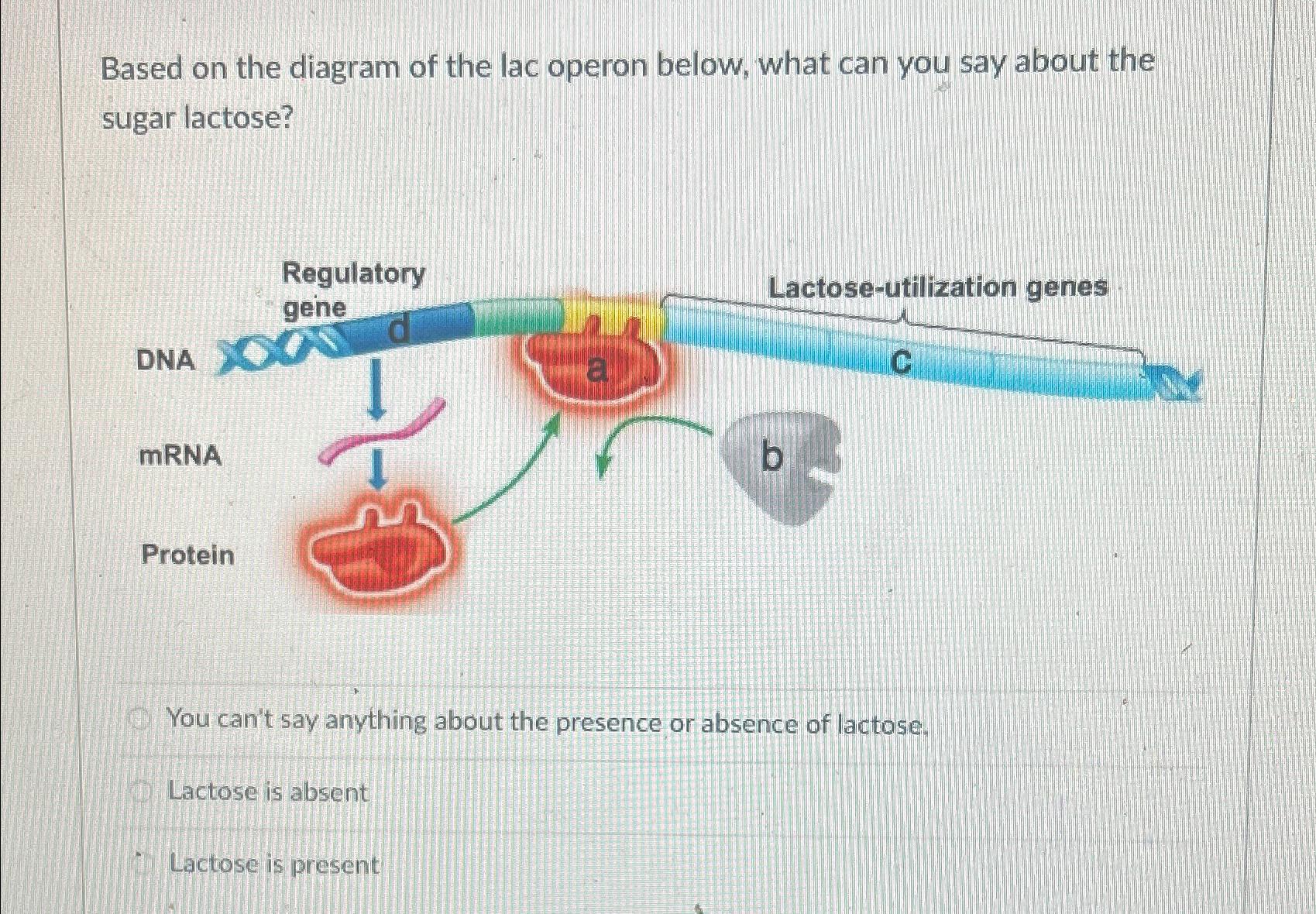 Solved Based on the diagram of the lac operon below, what | Chegg.com