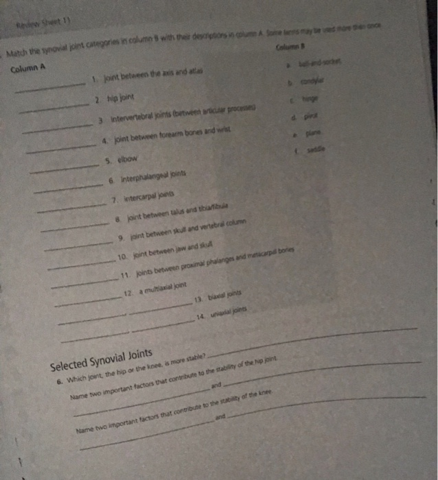 Omm E The Synovial Joint Categories Incolumns With Chegg Com