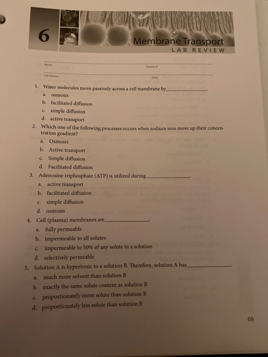 Solved Membrane Transport Lab Review 1 Water Molecules M Chegg Com