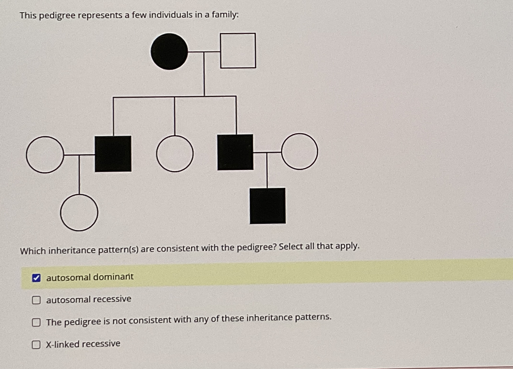 Solved This pedigree represents a few individuals in a | Chegg.com