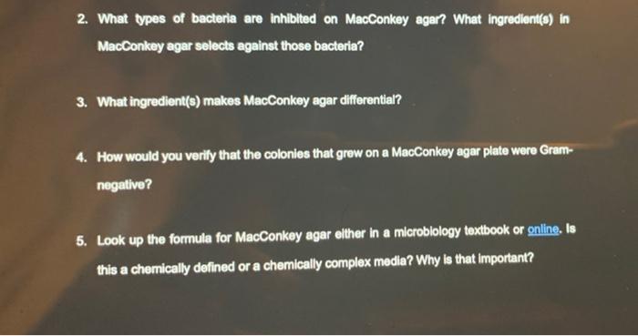 types of bacteria from kitchen sink on macconkey