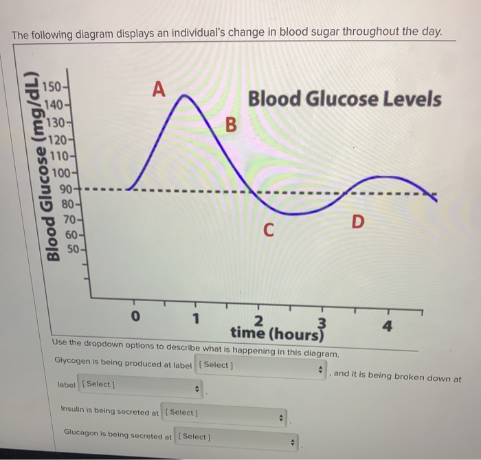 Solved The following diagram displays an individual's change | Chegg.com