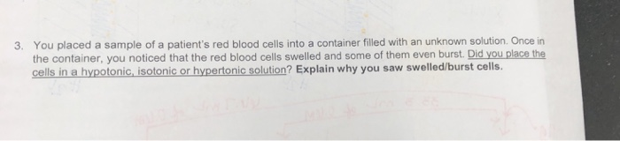 Solved 3. You placed a sample of a patient's red blood cells | Chegg.com