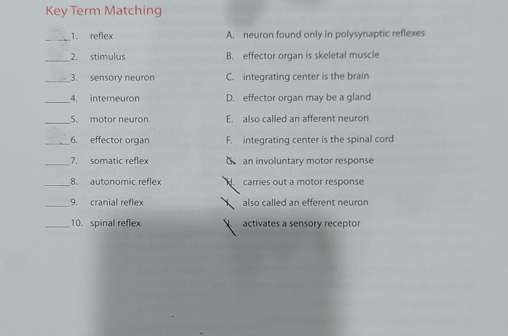 1. reflex A. neuron found only in polysynaptic | Chegg.com