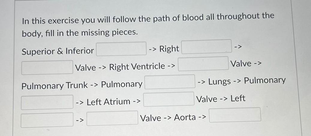 Solved In this exercise you will follow the path of blood | Chegg.com