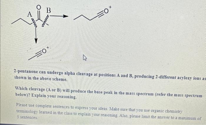 Solved 2-pentanone can undergo alpha cleavage at positions A | Chegg.com