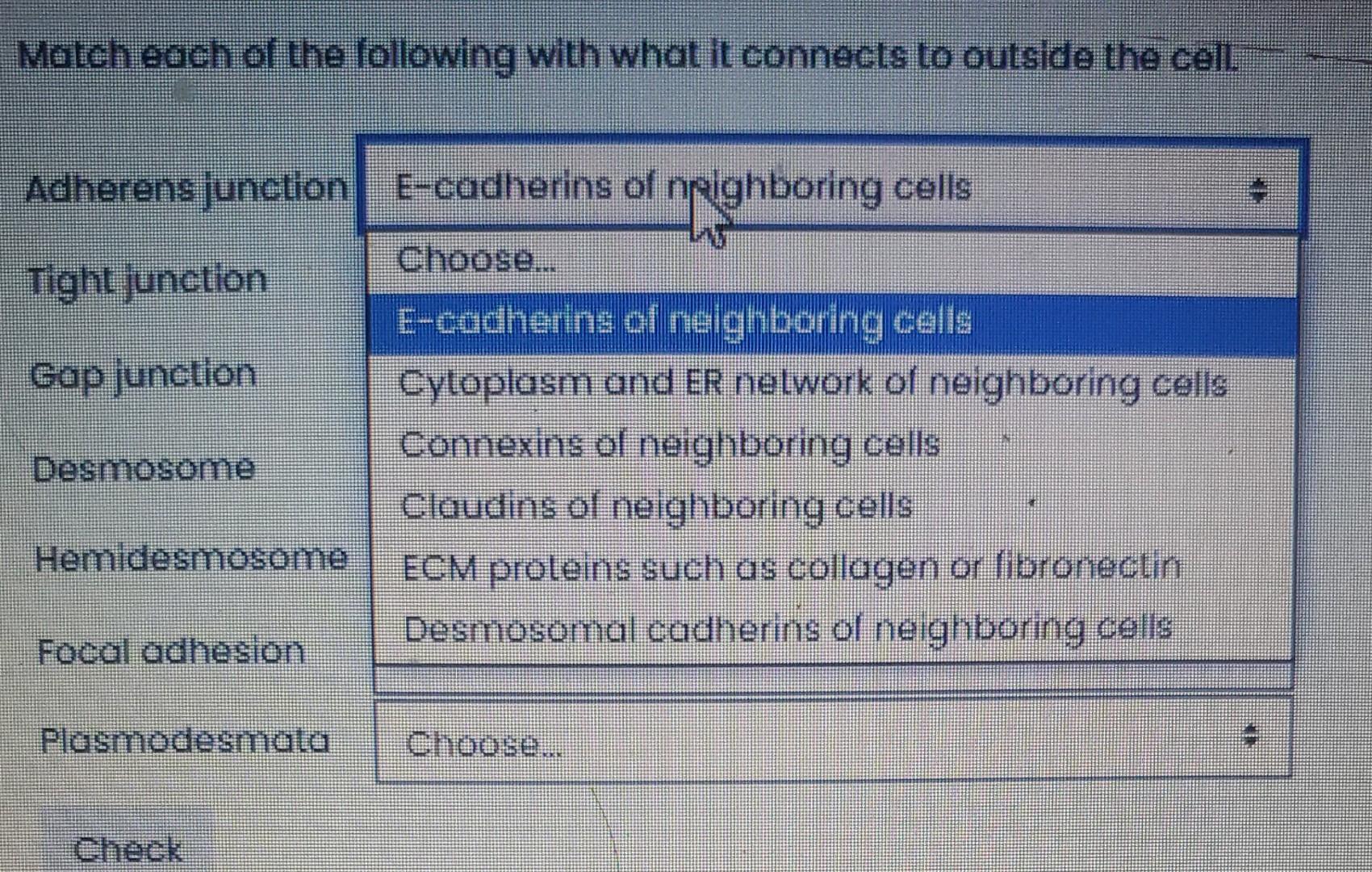Solved Match each of the following with what it connects to | Chegg.com