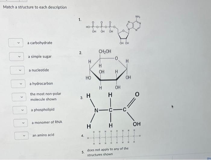 Solved Match a structure to each description 1 a | Chegg.com