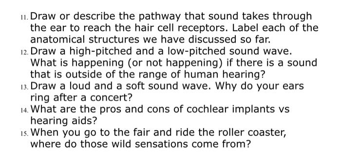 11. Draw or describe the pathway that sound takes through the ear to reach the hair cell receptors. Label each of the anatomi