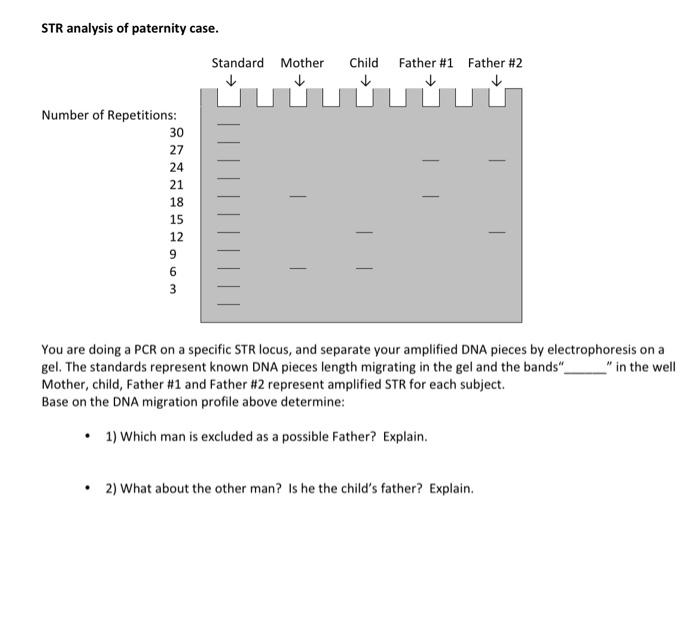 Solved STR analysis of paternity case. Number of | Chegg.com