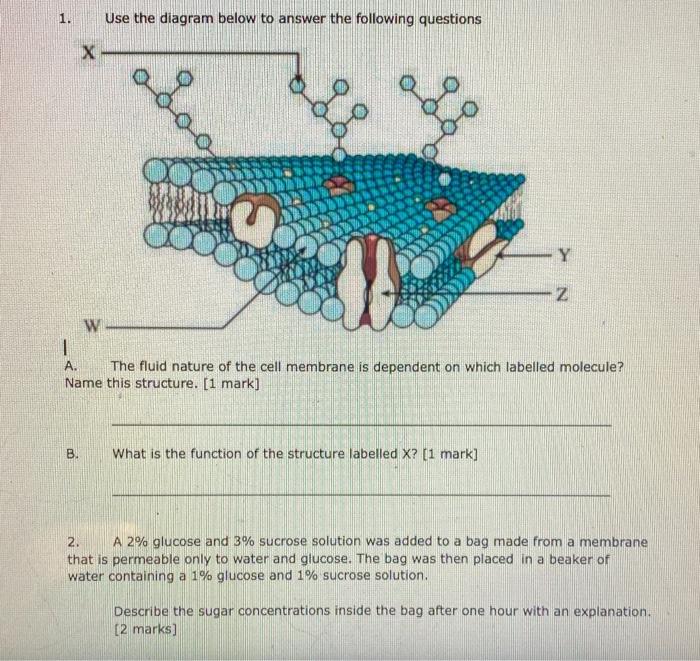 Solved please answer 1 & 21. A. The fluid nature of the cell | Chegg.com