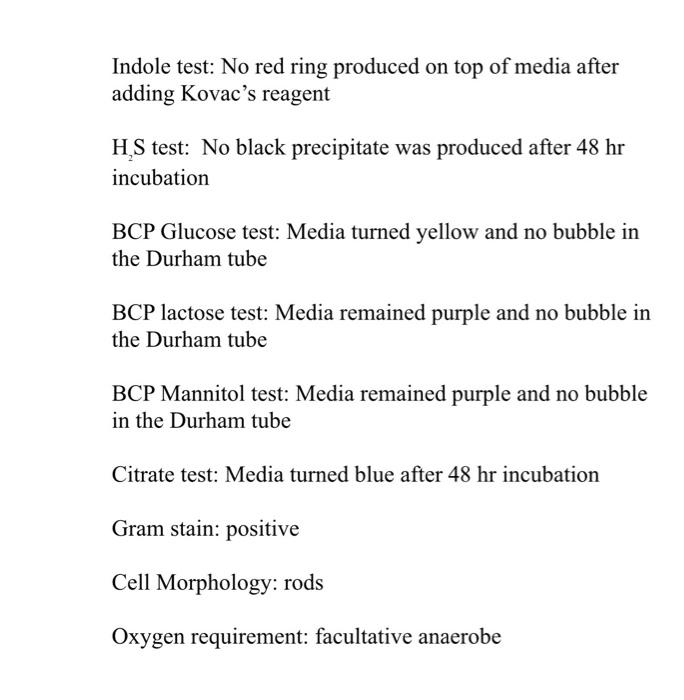 Solved Indole test: No red ring produced on top of media | Chegg.com