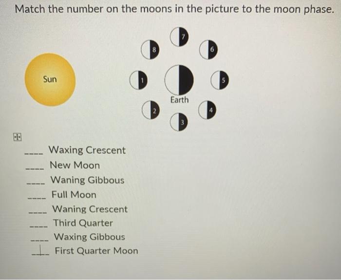 Solved Match the number on the moons in the picture to the | Chegg.com