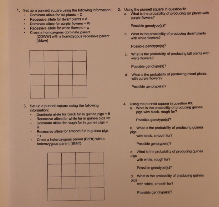Solved Using the square in question 1 a. What is
