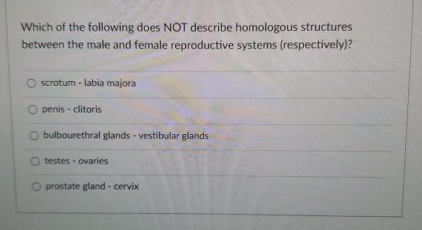 Solved Which is NOT a uterine function? protection and | Chegg.com