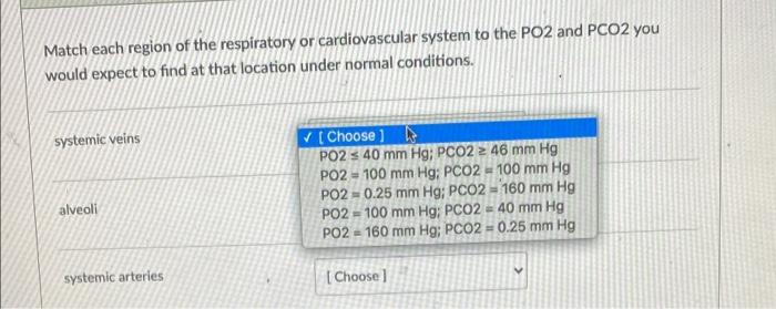 Solved Match each region of the respiratory or | Chegg.com