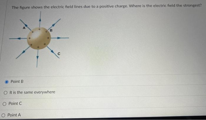 Solved The Figure Shows The Electric Field Lines Due To A | Chegg.com