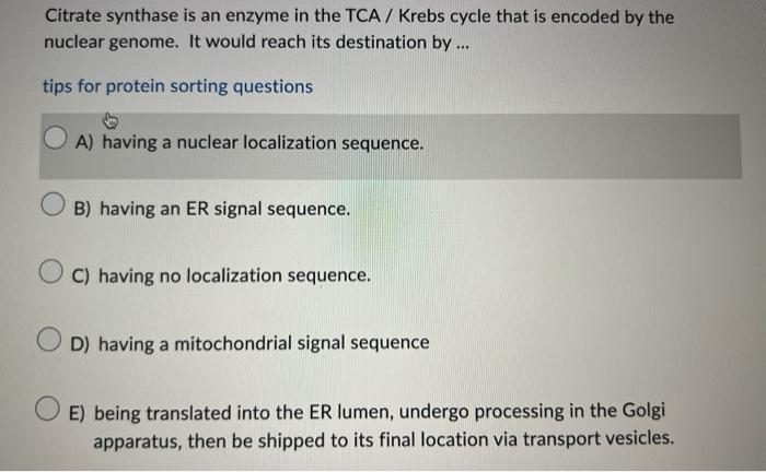 Citrate synthase is an enzyme in the TCA / Krebs cycle that is encoded by the nuclear genome. It would reach its destination 