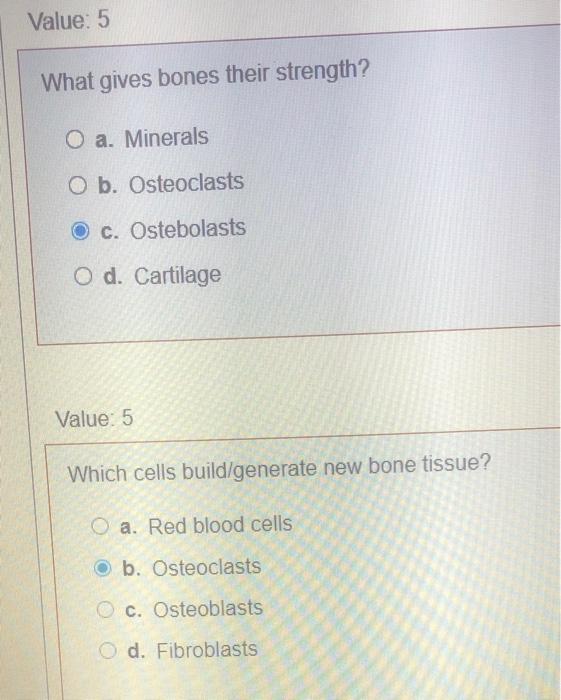 solved-value-5-what-gives-bones-their-strength-o-a-chegg